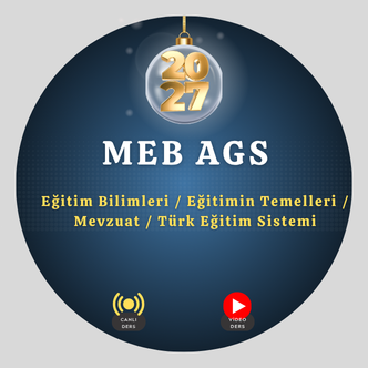 Video Image